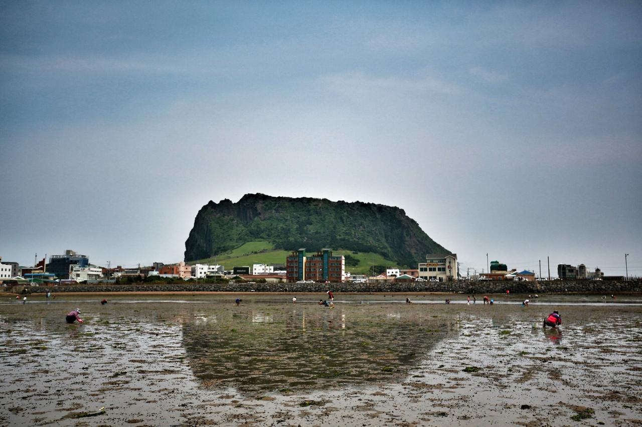 Breeze Bay Hotel Seogwipo Dış mekan fotoğraf